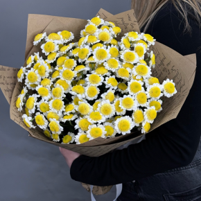 Букет "Моё солнышко" из 11 хризантем сантини  в Ногинске