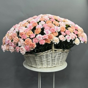 Композиция в корзине из 251 диантуса микс в Ногинске