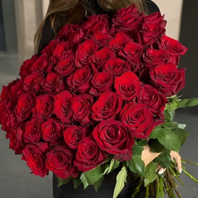 Букет 51 роза Эквадор Эксплорер (60 см) в Ногинске