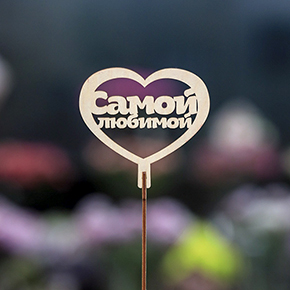 Топпер Самой Любимой в Ногинске