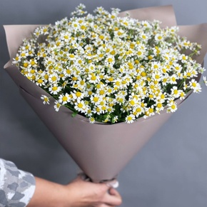 Букет из 17 ромашек танацетум в Ногинске