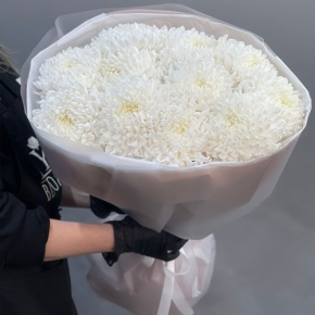 Букет из 11 белых хризантем  в Ногинске