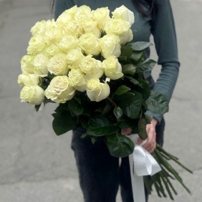 Монобукет из 25 роз Эквадор Мондиаль (80 см) в Ногинске