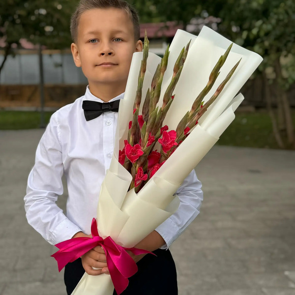 Букет на 1 сентября из 7 малиновых гладиолусов в Ногинске