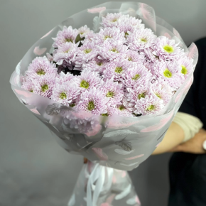 Букет "Нежный комплимент" из 9 кустовых хризантем в Ногинске