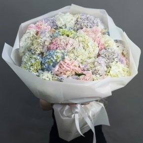 Букет из 23 гортензий микс в Ногинске