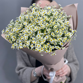 Букет из 17 полевых ромашек в Ногинске