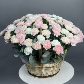 Композиция в корзине из 101 диантуса микс в Ногинске