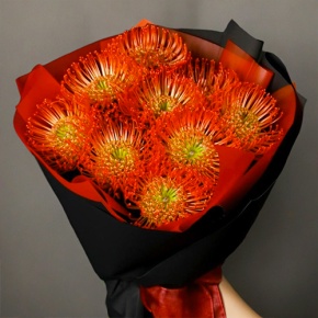 Букет из 9 лейко в Ногинске