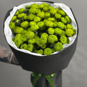 Стильный букет "Лайм" из 15 хризантем сантини в Ногинске