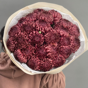 Букет 21 шоколадной хризантемы Бигоуди в Ногинске