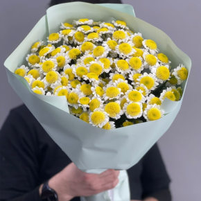 Букет "Моё солнышко" из 17 хризантем сантини  в Ногинске