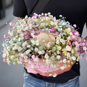 Композиция в коробке сердца из радужных гипсофил с топпером в Ногинске