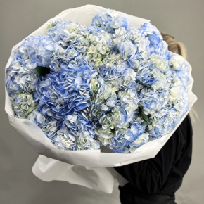 Букет из 23 синих гортензий в Ногинске