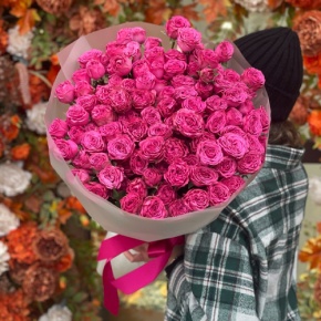 Букет из 35 малиновых кустовых пионовидных роз (60 см) в Ногинске