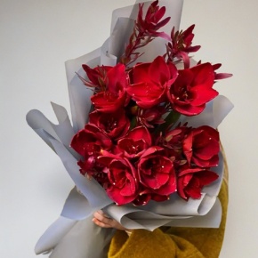 Букет из амариллисов и сафари в Ногинске