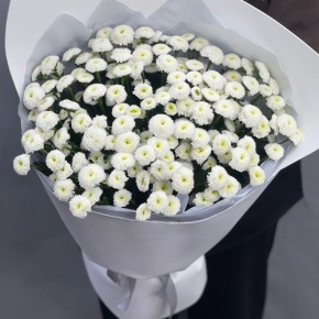 Букет "Белая дымка" из 25 хризантем сантини в Ногинске