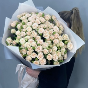 Букет из 25 кремовых кустовых роз (70 см) в Ногинске