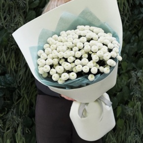 Букет из 25 хризантем Ньютон в Ногинске