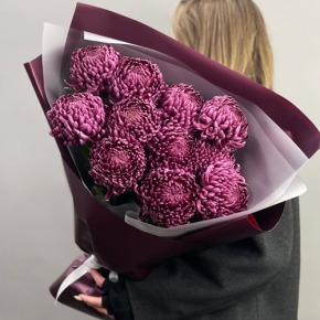 Букет "Изобилие" из 11 винных хризантем Бигоуди в Ногинске