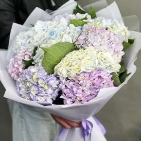 Букет из 9 Голландских гортензий микс в Ногинске