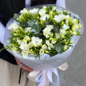 Букет из 51 белой фрезии в Ногинске