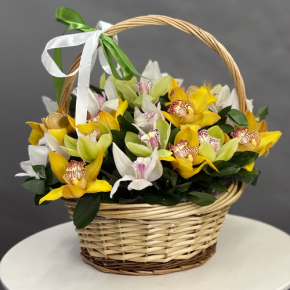Композиция в корзине из 25 орхидей микс в Ногинске