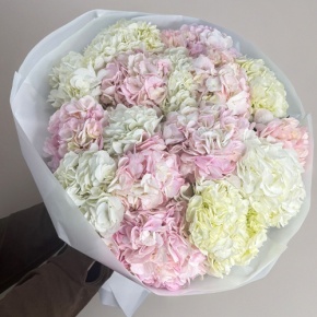Букет из 17 нежных гортензий в Ногинске