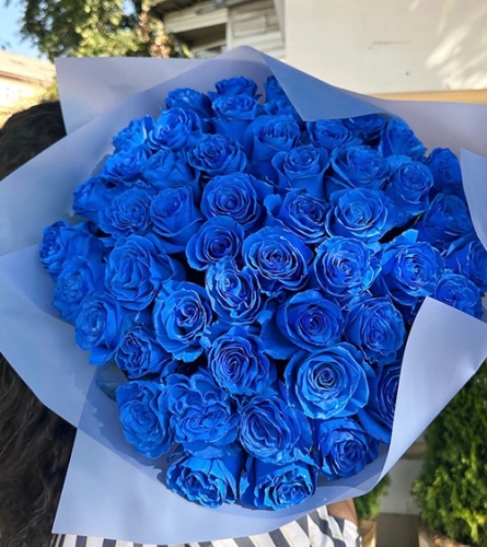 Букет из 51 синей розы Эквадор (60 см) в Ногинске