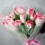 Букет "Фламинго" из 11 пионовидных тюльпанов в Ногинске