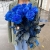 15 синих LUX роз Эквадор (70 см) в Ногинске 15 синих LUX роз Эквадор (70 см) в Ногинске