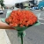 Букет из 51 мандариновой розы (40 см) в Ногинске