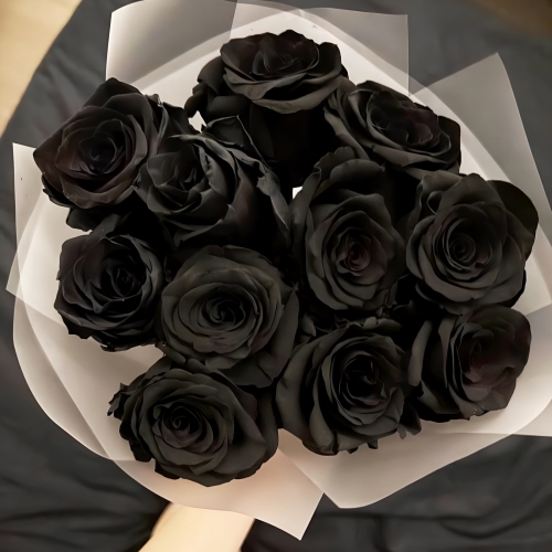 Букет "Черная королева" из 11 черных роз Эквадор (60 см) в Ногинске