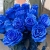 15 синих LUX роз Эквадор (70 см) в Ногинске 15 синих LUX роз Эквадор (70 см) в Ногинске