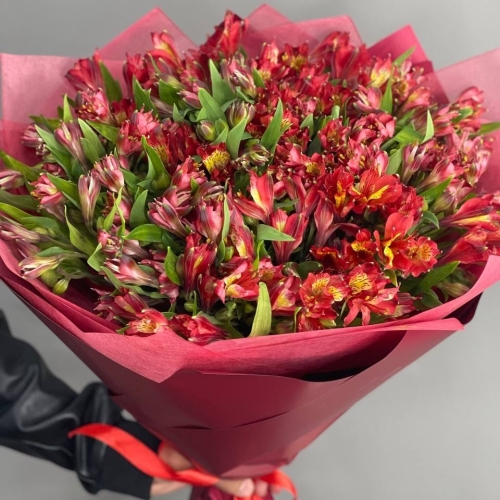 Монобукет из 25 красных альстромерий в Ногинске