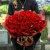 Букет 101 красная Кенийская роза (40 см) в Ногинске
