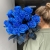 15 синих LUX роз Эквадор (70 см) в Ногинске 15 синих LUX роз Эквадор (70 см) в Ногинске
