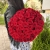 Букет 51 красной розы 50 см в Ногинске