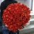 Букет 101 коралловая роза (60 см) в Ногинске