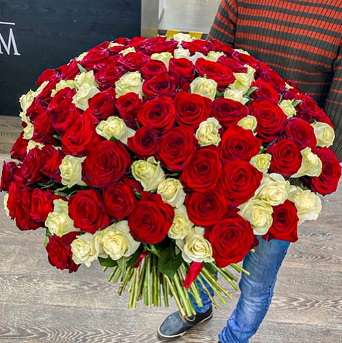 Букет 151 роза красный и белый микс (60 см) в Ногинске