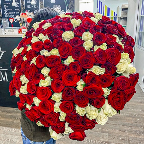 Букет 151 роза красный и белый микс (60 см) в Ногинске