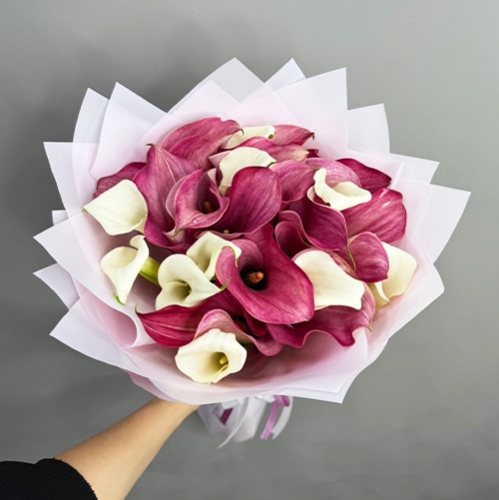 Букет из 25 нежных калл в Ногинске