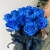 15 синих LUX роз Эквадор (70 см) в Ногинске 15 синих LUX роз Эквадор (70 см) в Ногинске