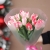 Букет "Фламинго" из 11 пионовидных тюльпанов в Ногинске