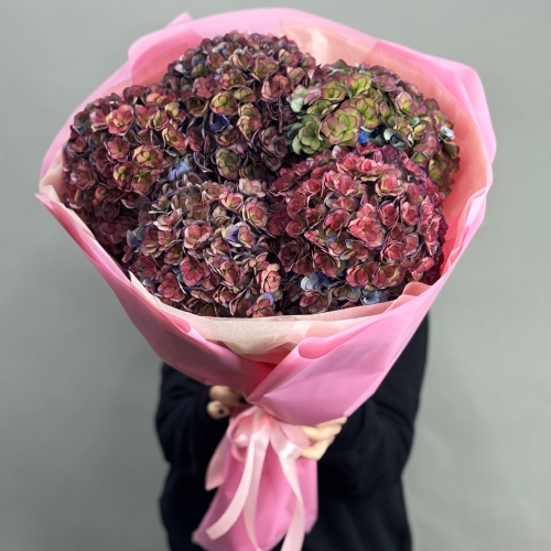 Букет из 5 космических Голландских гортензий в Ногинске