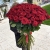 Букет из 101 красной розы (90 см) в Ногинске