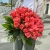 Букет 51 роза коралл (60 см) в Ногинске