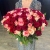 Букет 151 роза красный микс (50 см) в Ногинске