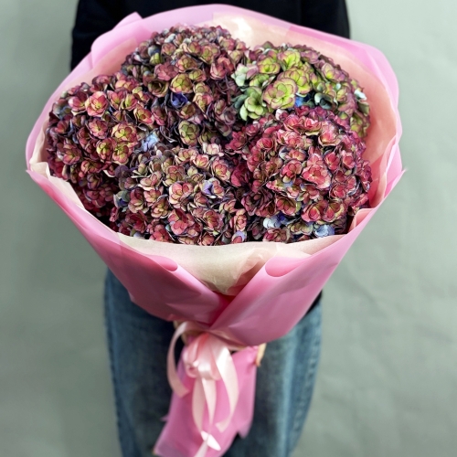 Букет из 5 космических Голландских гортензий в Ногинске