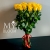 Букет 25 желтых роз эквадор (60 см) в Ногинске